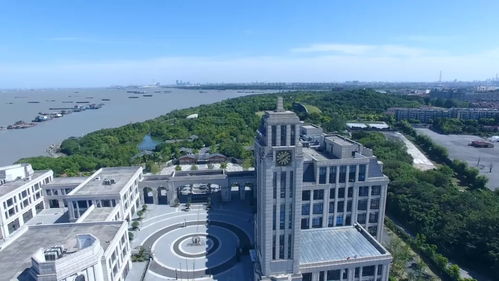 滬上力量再集結(jié)，數(shù)字創(chuàng)意賦新能——上海市紅色文化傳播志愿服務(wù)聯(lián)盟在寶山成立